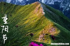 2024年九月九日重陽節(jié)祝福語重陽節(jié)的吉祥話