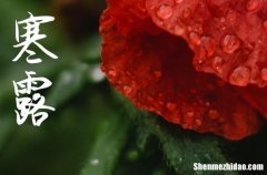 2024年寒露祝福句子經(jīng)典寒露祝福語句子