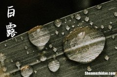 2024年白露節(jié)氣祝福語大全 溫馨唯美的祝福語