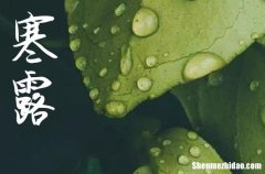 2024年經(jīng)典的寒露祝福語句 贊美寒露的精彩句子