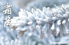 2024年霜降節(jié)氣祝福語(yǔ)2024最幽默的霜降節(jié)氣祝福語(yǔ)3篇