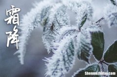 2024年霜降節(jié)氣祝福語(yǔ)選集最佳二十四節(jié)氣霜降祝福句子