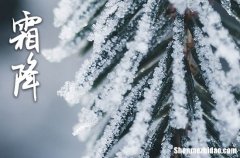 2024年霜降祝福語勵志說說 天冷一定多穿衣服