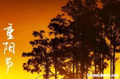 九九重陽節(jié)溫馨祝福語 2024年重陽節(jié)溫馨祝福短信匯編