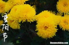 九九重陽節(jié)祝福語簡短給長輩 2024年重陽節(jié)寄語晚輩對長輩簡短