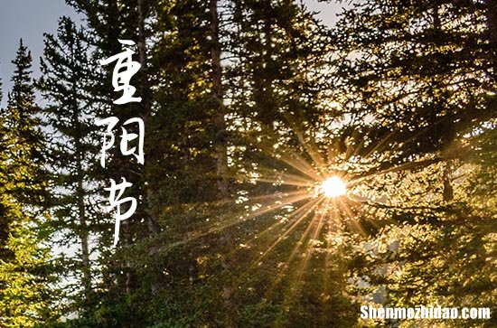 重陽節(jié)祝福語八個字左右 2024重陽節(jié)簡短祝福語送老人