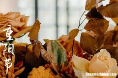 2024年九九重陽節(jié)祝福語_感恩重陽節(jié)經(jīng)典祝福句子