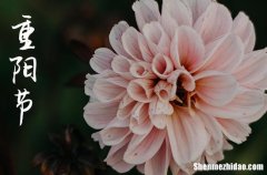 2024年九九重陽節(jié)祝福語大全 九九重陽節(jié)賀詞