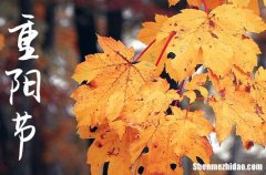 2024年九九重陽節(jié)的祝福語重陽節(jié)的說說心情短語