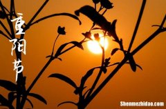 2024年溫馨重陽節(jié)祝福語大全 重陽節(jié)的吉祥話