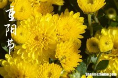 秋天重陽節(jié)的優(yōu)美句子九九重陽節(jié)祝福語句2024年