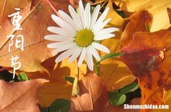 2024年重陽(yáng)節(jié)給家人的祝福語(yǔ)重陽(yáng)節(jié)的吉祥話(huà)