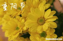 祝福長輩的順口溜2024年有關(guān)重陽節(jié)的祝福語