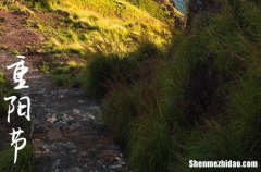 2024年九月初九重陽節(jié)祝福語 對長輩的祝福語大全