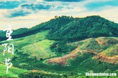 重陽節(jié)祝福語2024年九月九日祝福短語