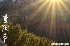 2024年最新重陽節(jié)孝敬老人祝福語匯總重陽節(jié)祝福的話短句