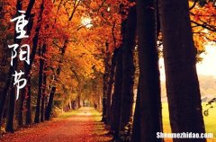 2024年最新重陽節(jié)孝敬老人祝福語匯總