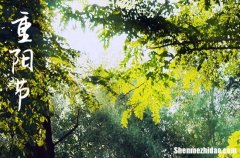 2024年最新簡短的重陽節(jié)祝福語文案100句