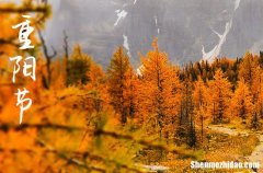 2024年最新重陽節(jié)祝福語句子100句 讓長輩看到暖心的句子