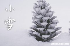 小雪祝福語(yǔ)簡(jiǎn)短獨(dú)特 2024小雪時(shí)節(jié)祝福寄語(yǔ)簡(jiǎn)單一句