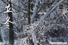 2025南方的立冬祝福語