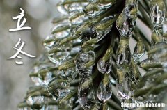 二十四節(jié)氣2025年立冬節(jié)氣快樂祝福語短信怎么寫？