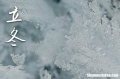 送給親人的立冬節(jié)氣防寒祝福語簡(jiǎn)短最新2025