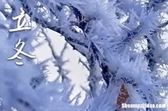 立冬節(jié)氣送給客戶祝福語問候語大全2025