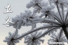 2025立冬佳節(jié)的短信祝福語 立冬佳節(jié)的祝福語