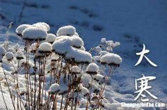 2024年大寒時間是幾點(diǎn)幾分 2024年大寒準(zhǔn)確時間