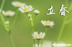 2024年立春是什么時辰 立春習(xí)俗活動