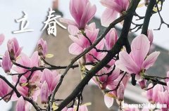 2024年躲春幾點到幾點屬相 躲春的正確方法