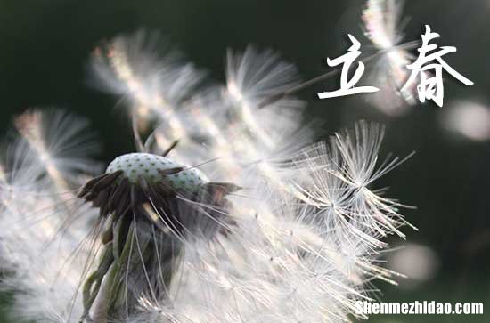 2024年立春躲春的生肖 利用躲春避開困境