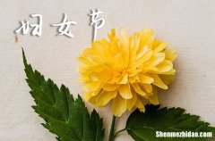 婦女節(jié)送女朋友什么禮物最好2024三八婦女節(jié)暖心文案