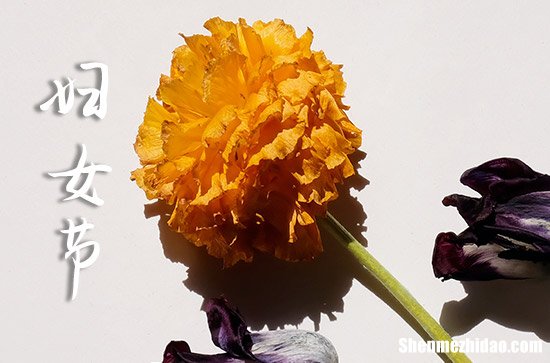 婦女節(jié)送老婆什么禮物最好2024婦女節(jié)送給媽媽的暖心禮物有哪些