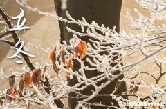 2025立冬送給長輩祝福的話語 寫給長輩們最暖心的立冬祝福語