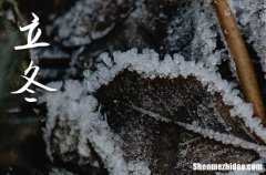 2025立冬的祝福語簡短一點(diǎn) 立冬節(jié)氣溫暖祝福送朋友2025