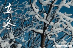 2025立冬海報(bào)的祝福語