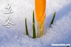 2025立冬的祝福語