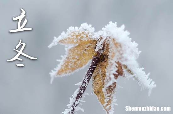 2025立冬的微博祝福語