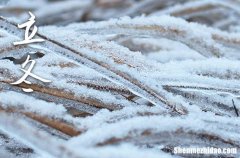 南方立冬的短信祝福語 2025流行的立冬祝福語