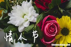 情人節(jié)祝福語句句暖心