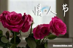 2024年情人節(jié)可以領(lǐng)證嗎