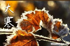 大寒節(jié)氣有什么忌諱