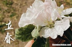 2024年陽歷立春是幾月幾號