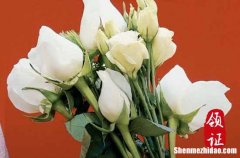 2023年農歷臘月十六嫁娶好嗎 今天不能做哪些事