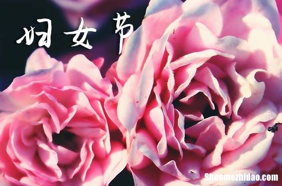三八妇女节的来历和意义2024 妇女节的影响