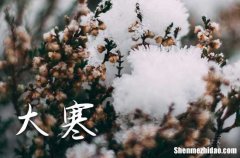 2024年大寒是幾月幾日多少天