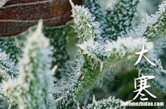 2024年大寒是陽(yáng)歷幾月幾日