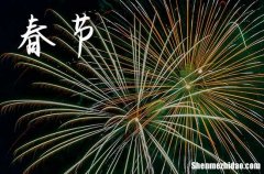 春聯(lián)上聯(lián)是在左邊還是在右邊2024 春聯(lián)2024龍年最新集錦